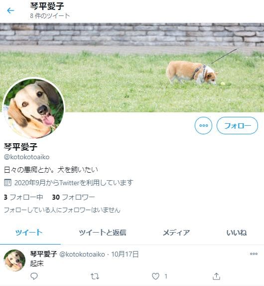 琴平愛子