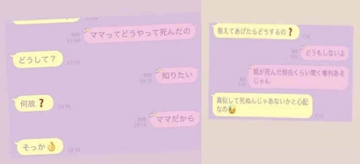 望月メル死因は後追い自殺か ママに会いたい 整形の果て キレイなままで こねこのニュース調べ